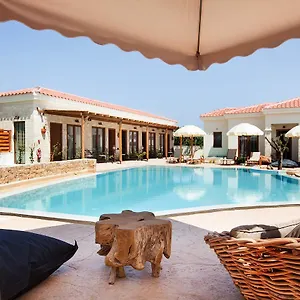 Casa - Adults Only 3*, Afytos Yunanistan